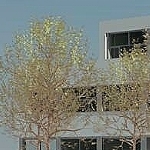 Zahnklinik in Neuss-Uedesheim